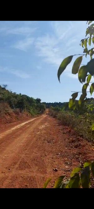 Lote, Residencial, Brauninha 