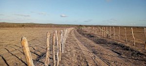 Fazenda, Rural, Valentim 