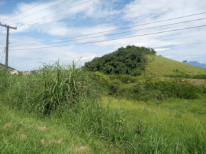 Fazenda, Rural, Japuíba