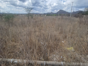 Lote, Residencial, São Cristovão