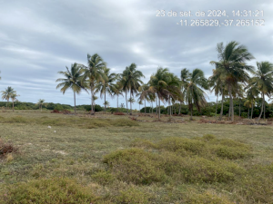 Lote, Consultar, Loteamento Vila Rica do Abais