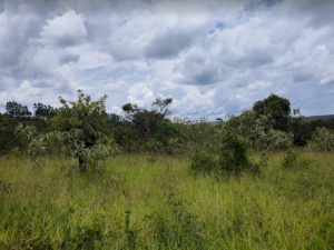Lote, Residencial, Garden Ville