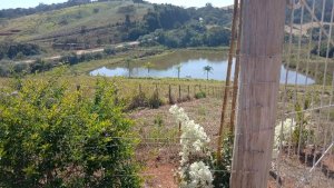 Chácara/Sítio, Rural, Zona Rural