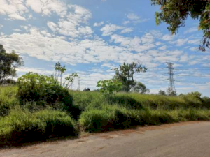 Lote, Residencial, Vila Nova Aparecida