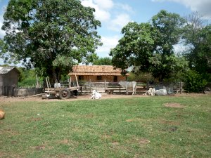Fazenda, Rural, Zona Rural