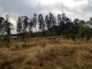 Lote, Residencial, Milenium