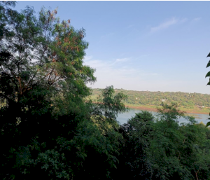 Lote, Indefinida