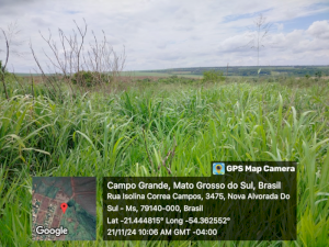 Lote, Consultar, Maria de Lourdes Marson Expansão III