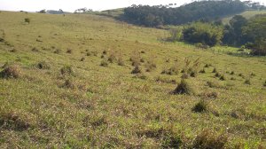 Área, Incorporação