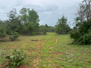 Fazenda, Rural, Rural