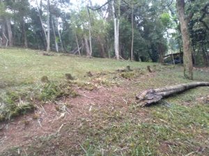 Lote em Condomínio, Residencial