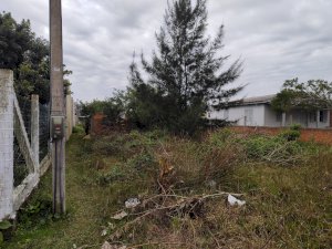 Lote, Comercial