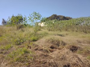 Lote, Rural, Jardim São José