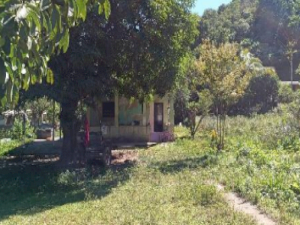 Casa, Residencial, Bairro Parque Estrela (Vila Inhorim), 2 dormitório(s)