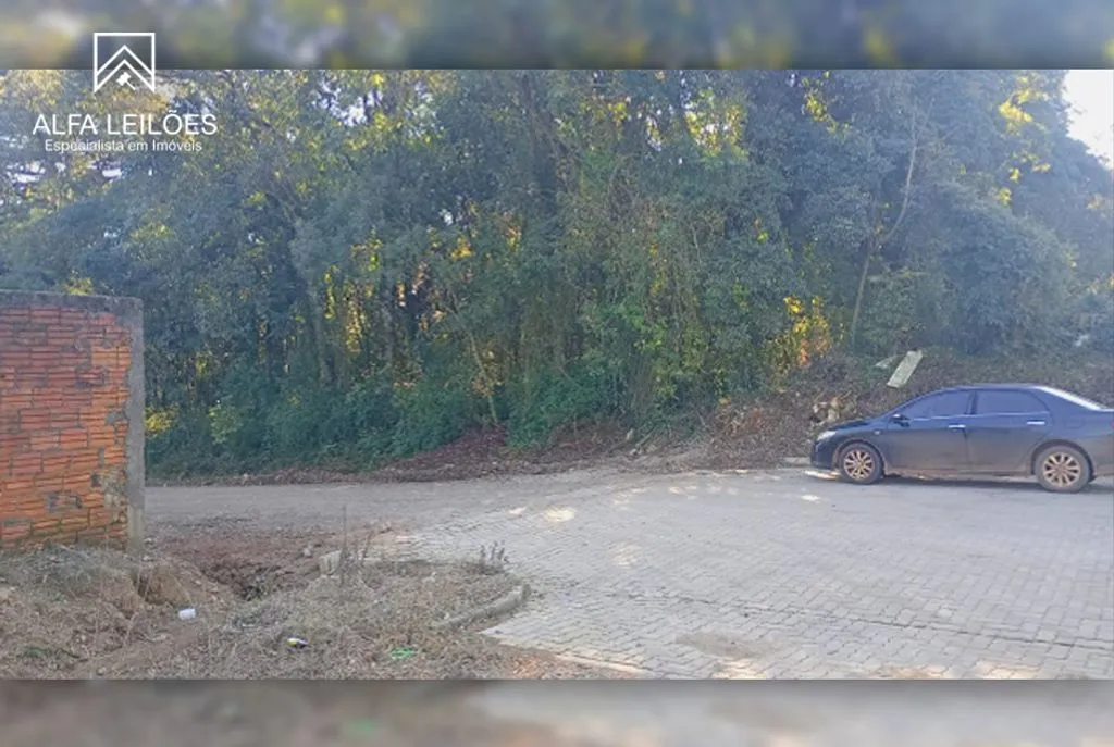 Leilão de Terreno em Arvorezinha (RS)