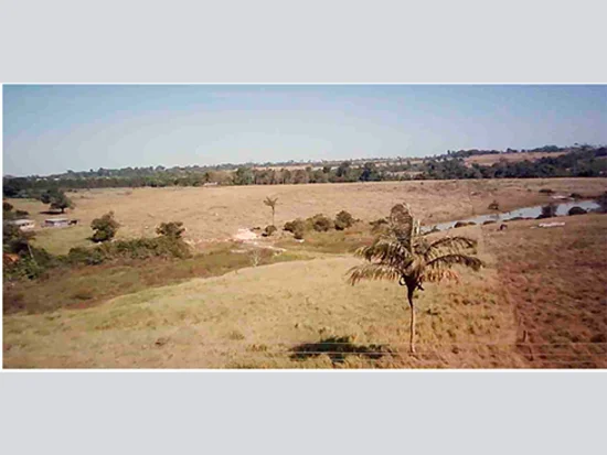 Terreno - Paranáíta - MT