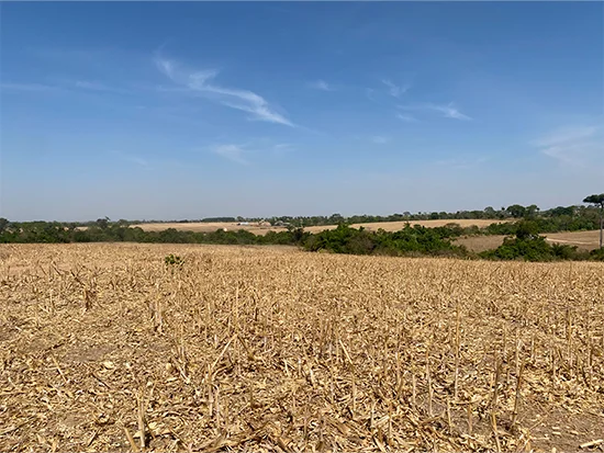 Terreno - Nova Guarita - MT