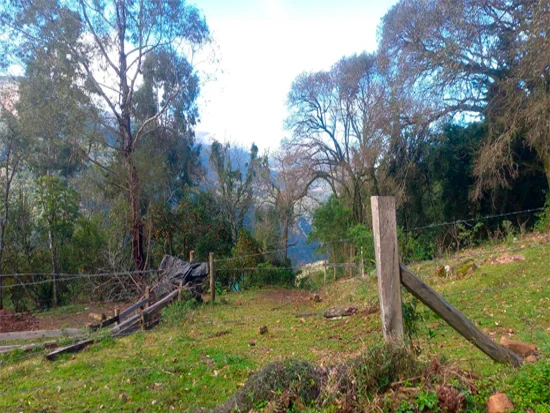 Terreno - Caxias do Sul - RS