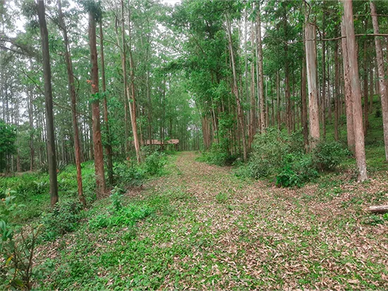 Terreno - Rio do Campo - SC