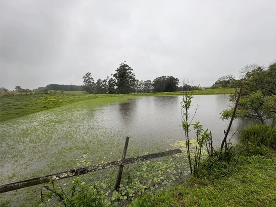 Casa - Eldorado do Sul - RS