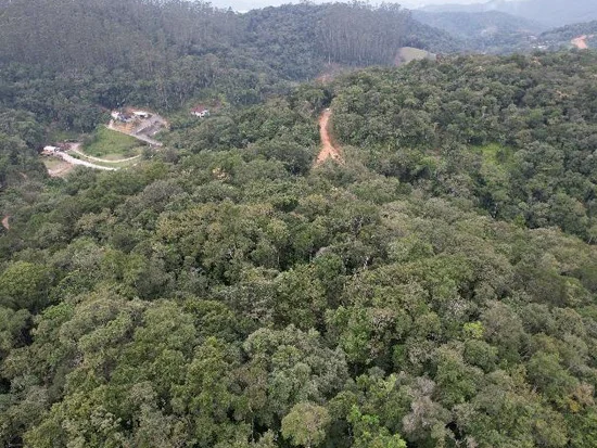 Terreno - Brusque - SC