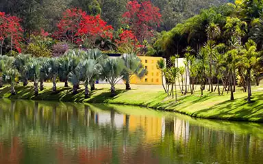 Loja, Vila Silvéria em Araxá, MG — foto 4 de 7