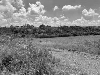 Fazenda em elias fausto/sp - fazenda em são paulo