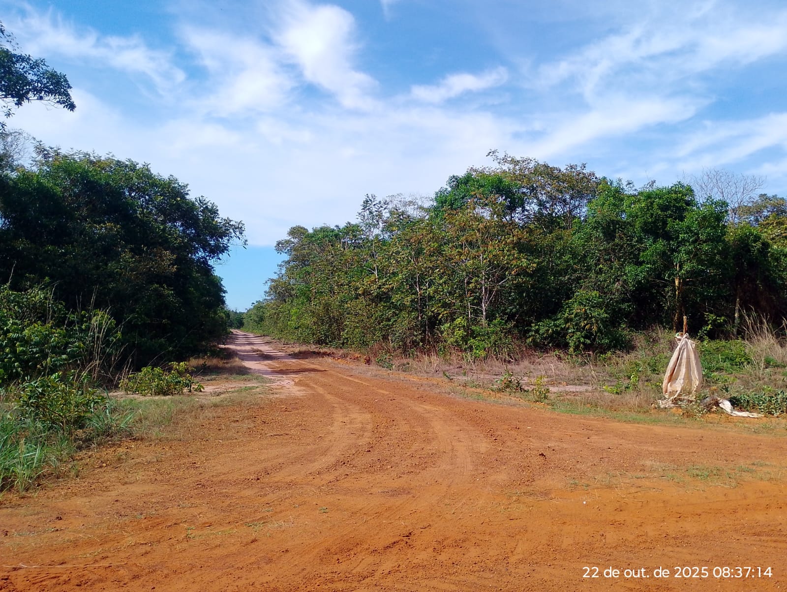 Rural - Campo Novo do Parecis/MT