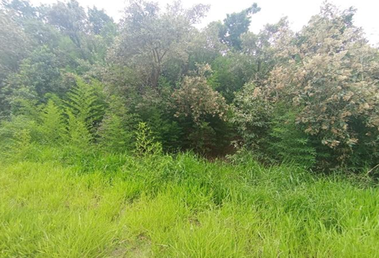 Lote 1: fração ideal de 72,08% de área rural com 8.6678ha - jacuting bofete sp