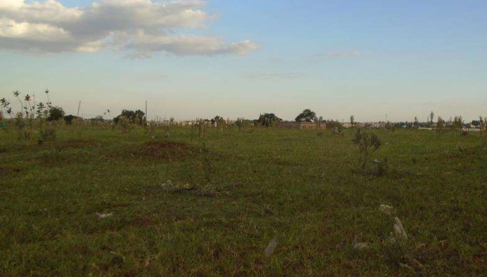 Lote 1: fração ideal de uma área rural com 04,50ha - faz. sta rita mirassol sp