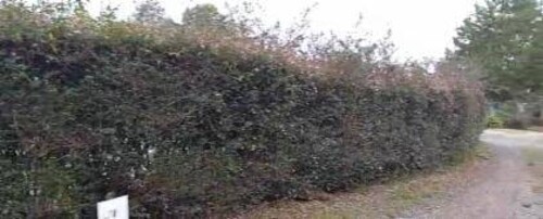 Lote de condomínio no alto da boa vista, campos do jordão, sp