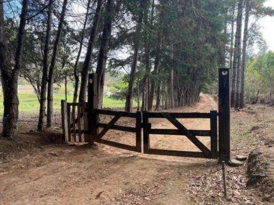 Imóvel rural, 72.600m², 02 casas, 02 barracões, campanha, pedra bela/sp