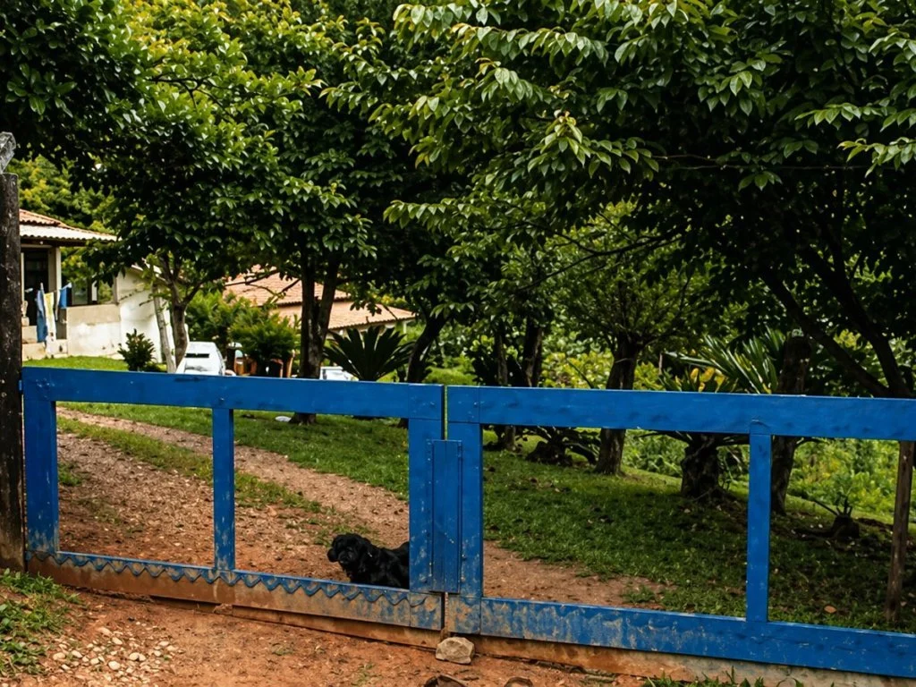 Casas em área de 3.011 m² - mailasqui - são roque - sp