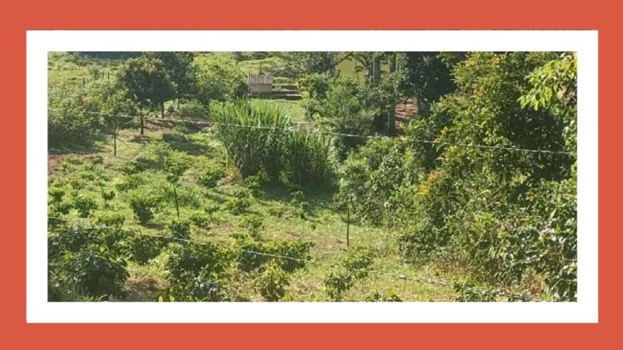Imóvel denominado sítio são cristovão, designado gleba c, desmembrado do sítio são joão, bairro forquilha, monte alegre do sul-sp com área medindo 3,6 hectares segundo o rgi. --