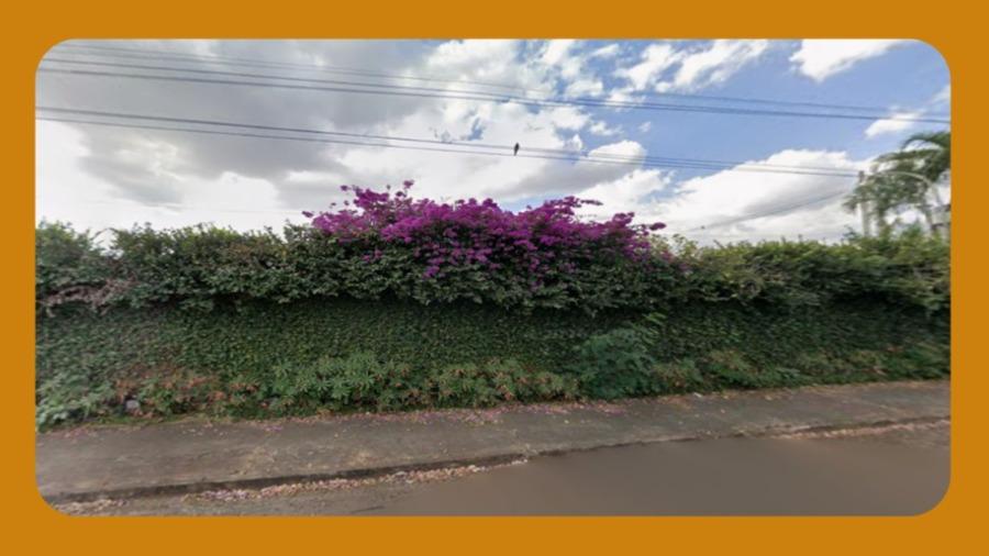 Lote de terreno n. 09, da quadra 09, da vila brasil, com frente para a rua casa branca, ribeirão preto/sp, com área total de 528m².__