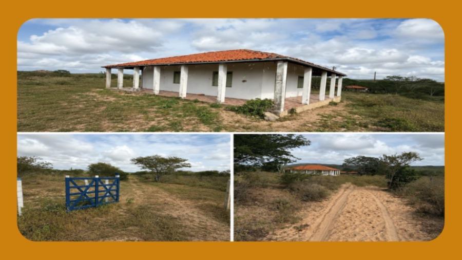 Fazenda Pitombeira (Atualmente Fazenda Venturosa), na Zona Rural do Municipio de Santa Brigida/Ba. O Imóvel Representa Uma Faixa de 400 Tarefas Ou 133 Hectares.__