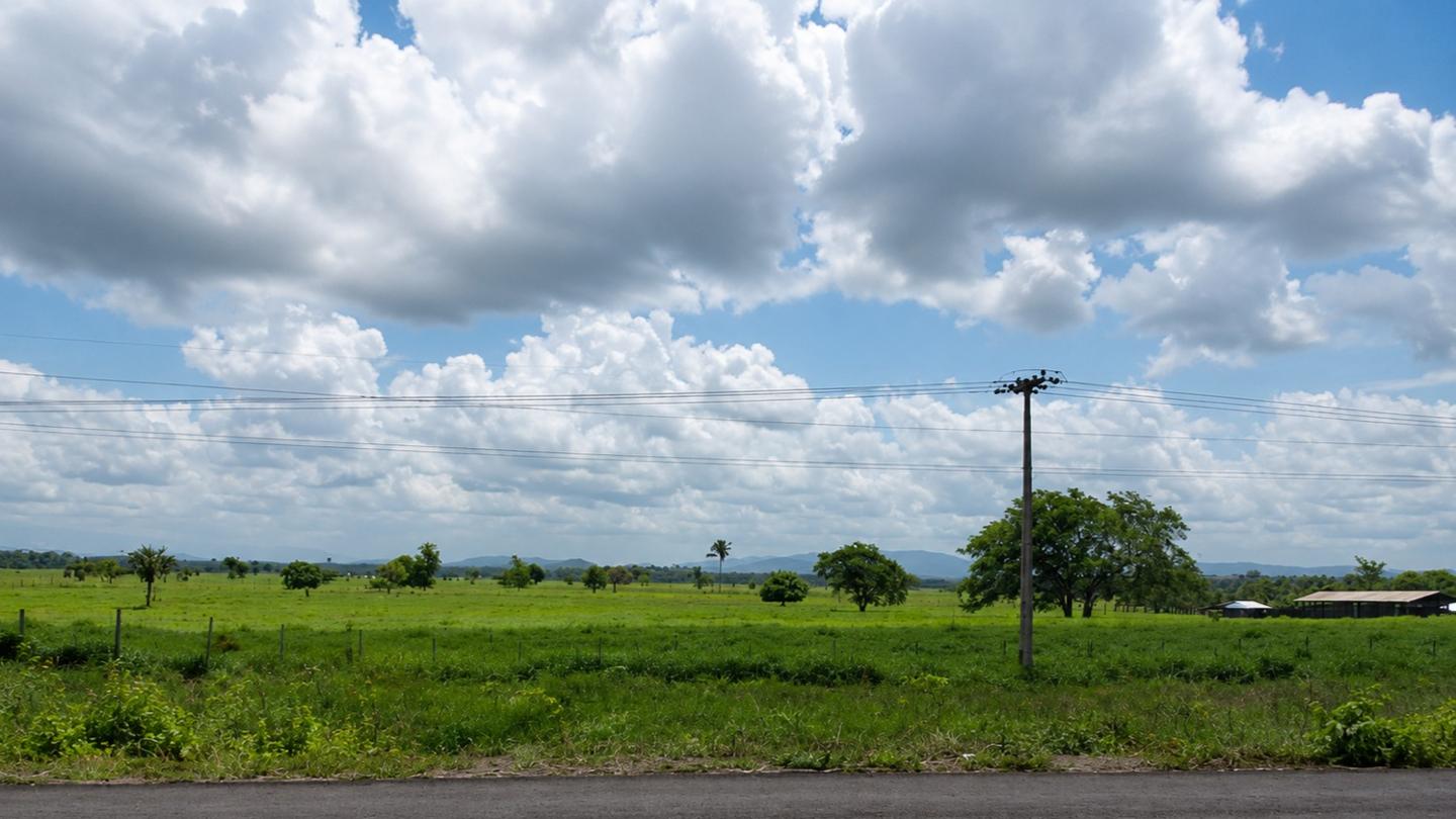 Lote de Terras Às Margens da Br-174 | Manaus/AM