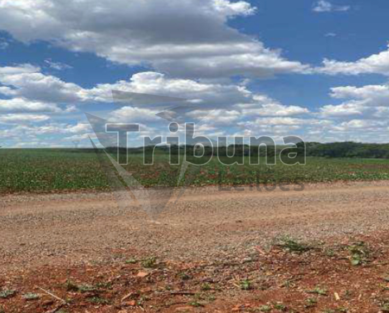 Área rural em cândido mota