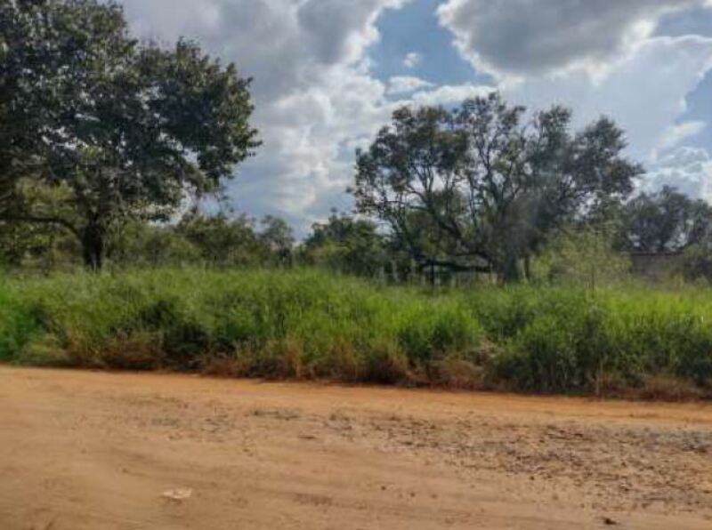 Terreno com área de 6.000m², bairro do pinhal, vila curuçá, itapetininga/sp