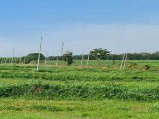 Lote a.t. 242 m² - lins/sp