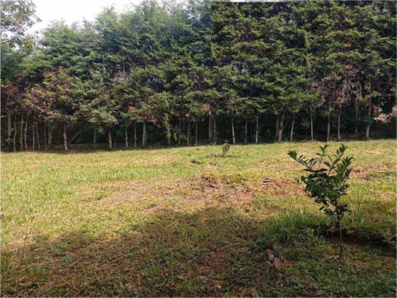 Santa rosa de viterbo sp rua antônio de castro gil s/n (lote 02 da quadra x) 3.679