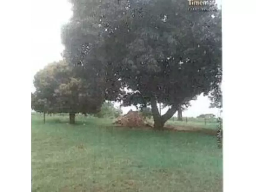 Área Rural, Área Rural em Andradina, SP