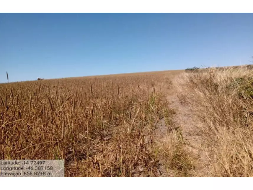 Área Rural, Zona Rural em Sítio Dabadia, GO