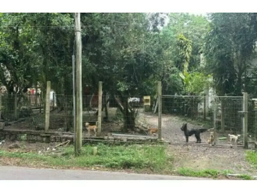Casa, Alegria em Guaíba, RS