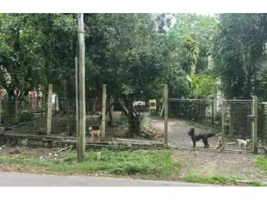 Casa, Alegria em Guaíba, RS