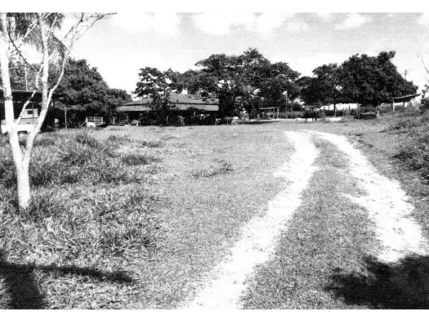 Terreno C/benfeitorias, Fazenda Felicidade em São José do Rio Preto, SP