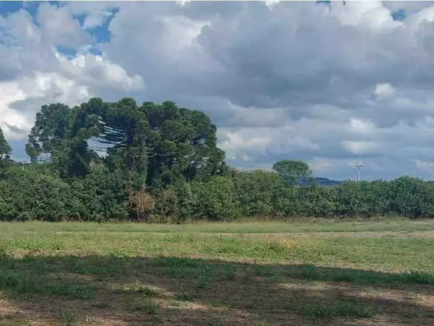 Área Rural, Área Rural em Campo do Tenente, PR