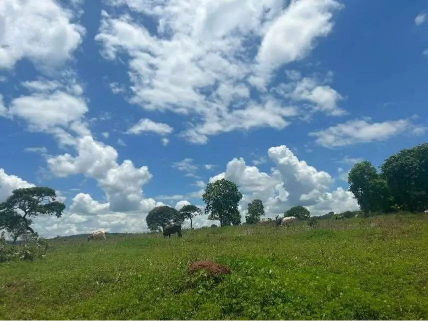 Área Rural, Zona Rural em Gurinhatã, MG