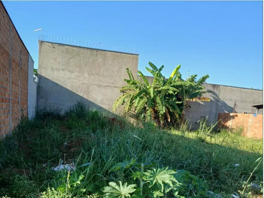 Terreno, Residencial José Pedro Carneiro em Pontal, SP