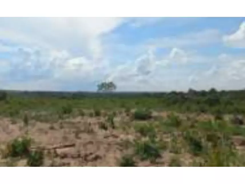 Terreno, Residencial Jardim Primavera em Ribeirão Cascalheira, MT